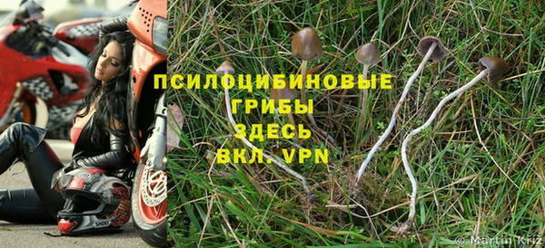 прущий лед Лихославль