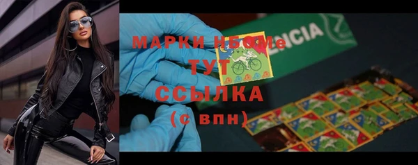 ГАЛЛЮЦИНОГЕННЫЕ ГРИБЫ Липки