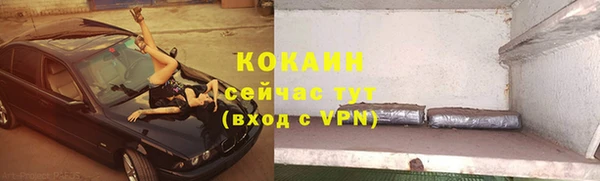 ГАЛЛЮЦИНОГЕННЫЕ ГРИБЫ Липки