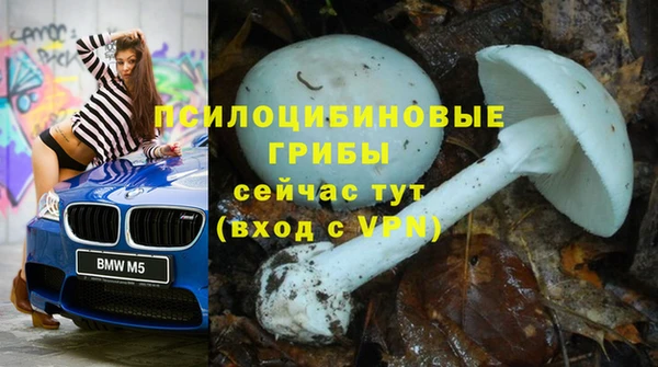 ГАЛЛЮЦИНОГЕННЫЕ ГРИБЫ Липки