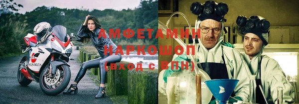 ГАЛЛЮЦИНОГЕННЫЕ ГРИБЫ Липки