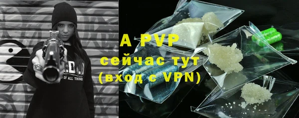 ГАЛЛЮЦИНОГЕННЫЕ ГРИБЫ Липки