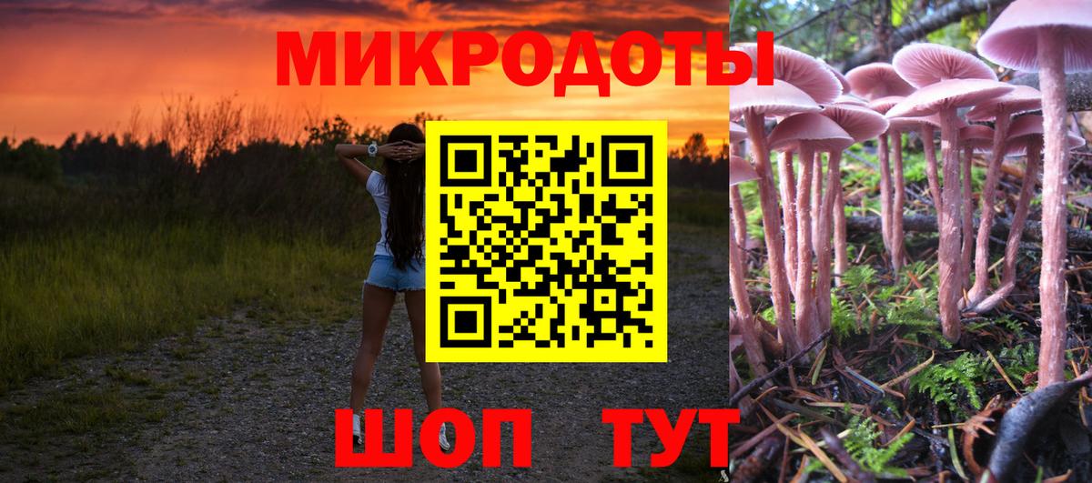 Псилоцибиновые грибы Magic Shrooms Новочеркасск