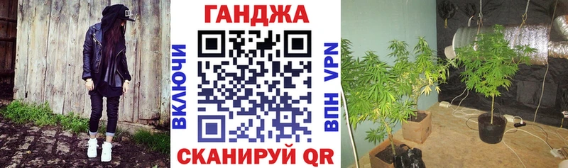 сколько стоит  Новочеркасск  Бошки марихуана семена 